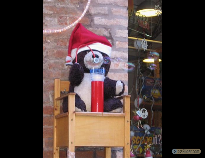 Pranzo di Natale bci - Ferrara - 10 Dicembre 2006 - 008