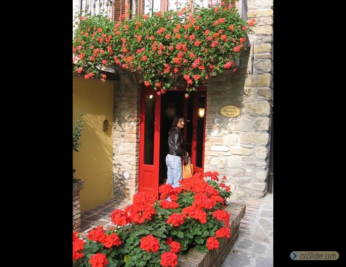 Rossa - Raduno Oltrepò Pavese - 14 e 15 Ottobre 2006 - 020